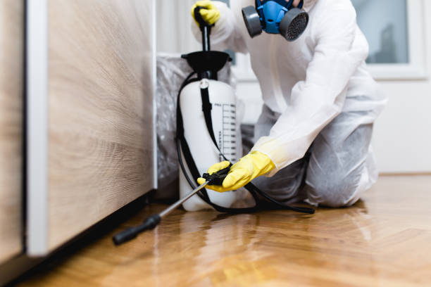 Best Affordable Pest Control Services  in Hiram, OH