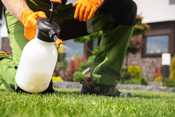 Best Pest Removal Services  in Hiram, OH
