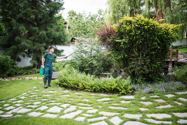 Best Wasp Removal Services  in Hiram, OH