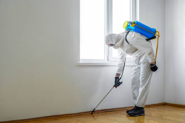 Best Mosquito Control Services  in Hiram, OH
