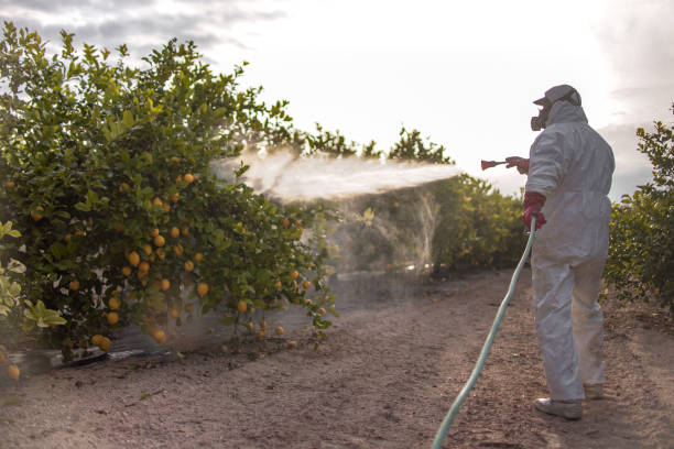 Best Local Pest Control Services  in Hiram, OH