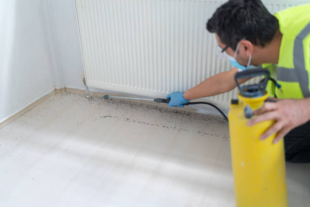 Professional Pest Control in Hiram, OH