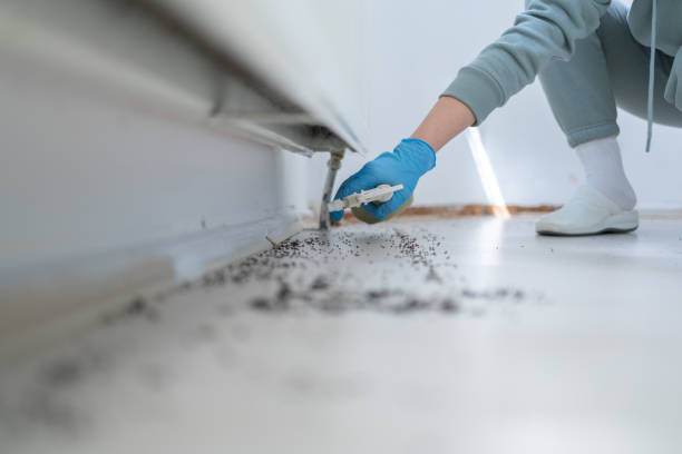 Best Residential Pest Control  in Hiram, OH