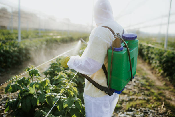 Best Cockroach Control Services  in Hiram, OH